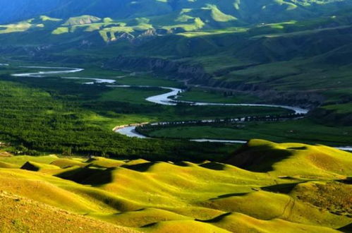 環(huán)境時(shí)評(píng)丨保護(hù)生態(tài)環(huán)境要有定力 經(jīng)濟(jì)日?qǐng)?bào)