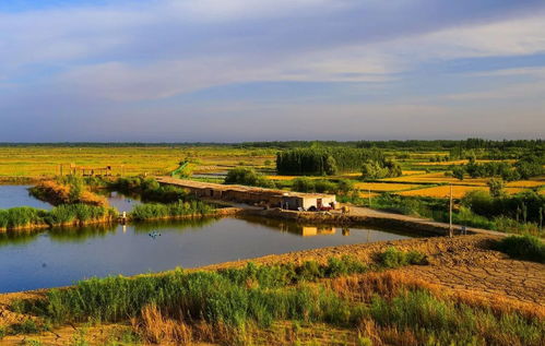 新疆這5處國(guó)家級(jí)試點(diǎn)濕地公園通過(guò)驗(yàn)收,快為你家鄉(xiāng)的美點(diǎn)個(gè)贊