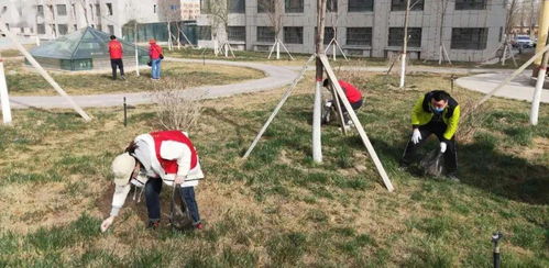 東城街道馬家坪社區 “雙報到”黨員先鋒行，攜手共建美麗家園